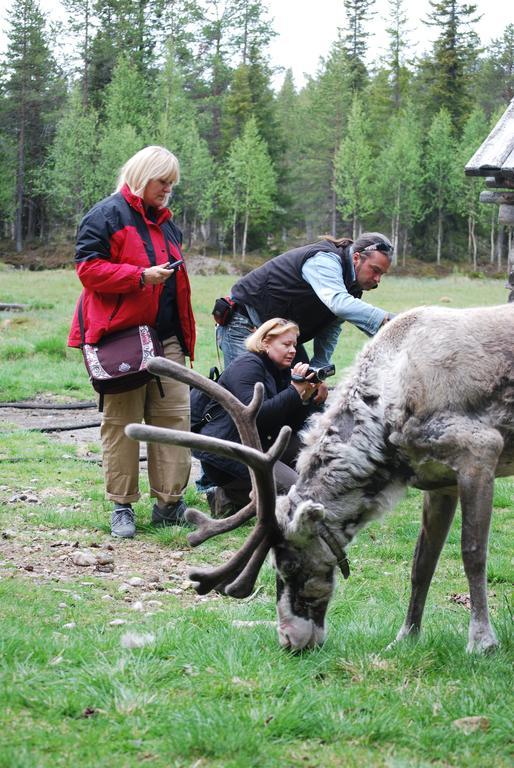 Hotell Silverhatten Arjeplog Bagian luar foto